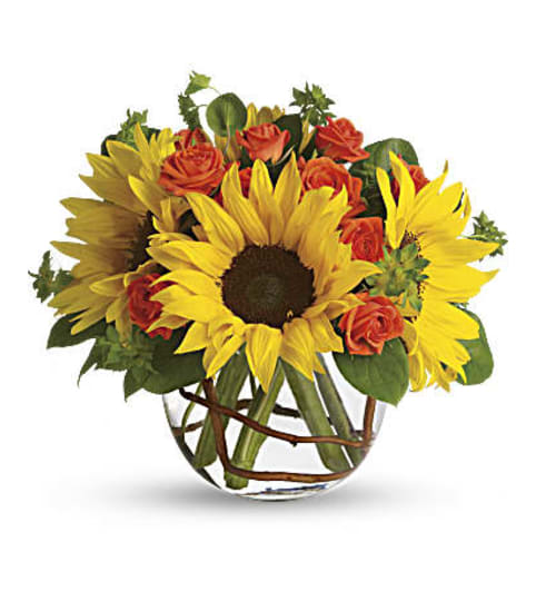 Sunny Sunflowers Bqt. An arrangement by Fine's Flowers.