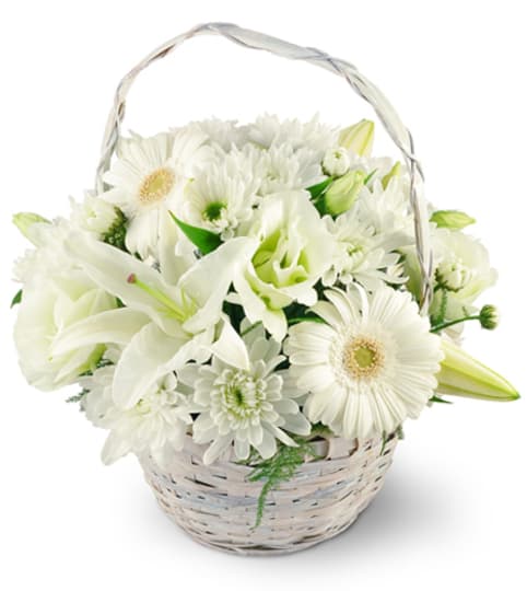Serenity Basket. An arrangement by Fine's Flowers.