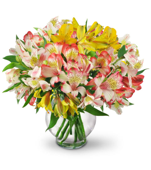 Perfect Peruvian Lilies. An arrangement by Fine's Flowers.