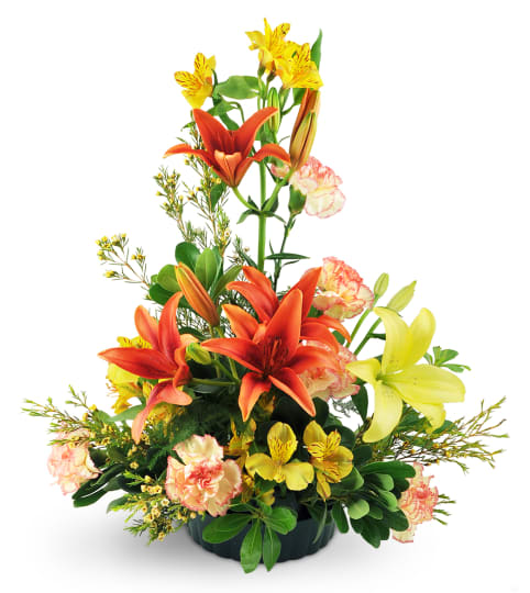 Among The Stars. An arrangement by Fine's Flowers.