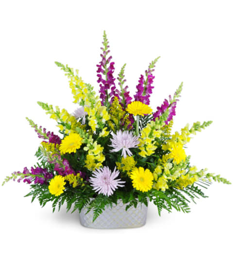 Into Open Arms. An arrangement by Fine's Flowers.