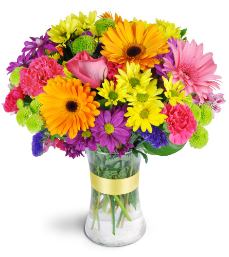 Radiant Rainbow™ - Deluxe. An arrangement by Fine's Flowers. Daisies, alstroemeria, carnations, and more are arranged in every shade of the rainbow..