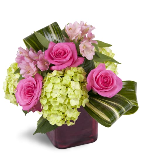 Peek of Chic™. An arrangement by Fine's Flowers.