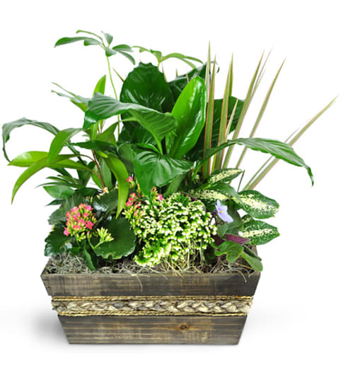 Garden of Memories. An arrangement by Fine's Flowers.