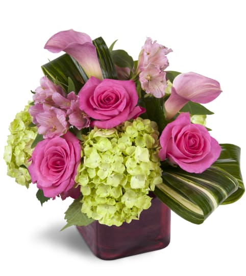 Peek of Chic™. An arrangement by Fine's Flowers.