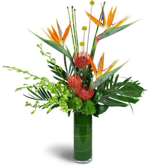 Paradise Flight™. An arrangement by Fine's Flowers.