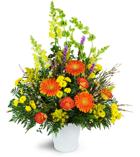 Everlasting Spirit. An arrangement by Fine's Flowers.