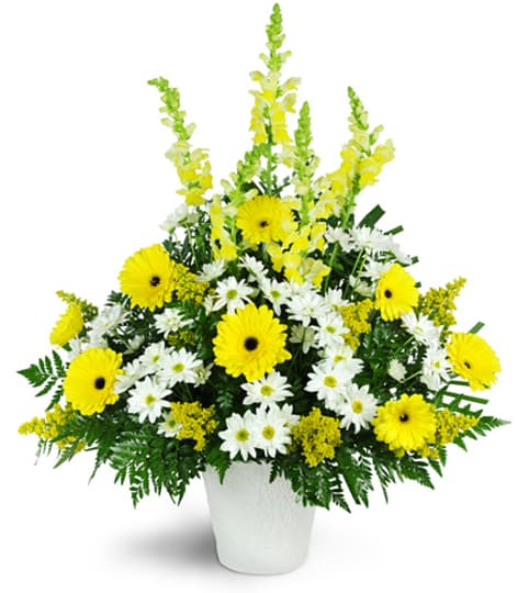 Shining Light Tribute. An arrangement by Fine's Flowers.