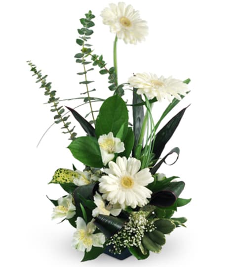 Heaven's Gate. An arrangement by Fine's Flowers.