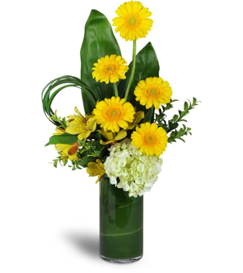 Higher and Higher Bouquet™. An arrangement by Fine's Flowers.