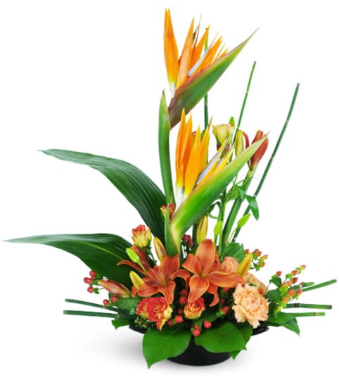 High-Rise Prize™. An arrangement by Fine's Flowers.