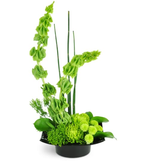 Emerald Zen. An arrangement by Fine's Flowers.
