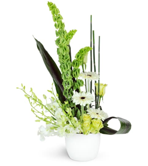 Cool Breeze. An arrangement by Fine's Flowers.
